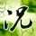 一比一原版玛丽芒特大学毕业证【degxx.com】